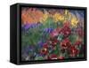 Impressionistic Pansies-David Carriere-Framed Stretched Canvas