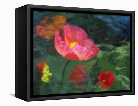 Impressionistic Poppies-David Carriere-Framed Stretched Canvas