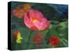 Impressionistic Poppies-David Carriere-Stretched Canvas