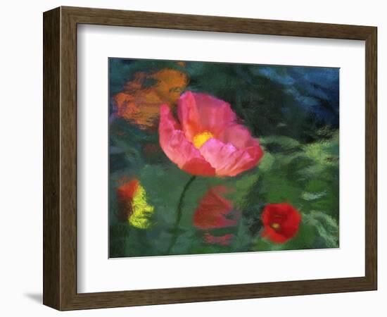 Impressionistic Poppies-David Carriere-Framed Photographic Print