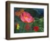 Impressionistic Poppies-David Carriere-Framed Photographic Print