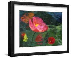 Impressionistic Poppies-David Carriere-Framed Photographic Print