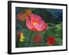 Impressionistic Poppies-David Carriere-Framed Photographic Print