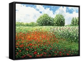 Impressionists Garden-Kevin Dodds-Framed Stretched Canvas