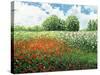 Impressionists Garden-Kevin Dodds-Stretched Canvas