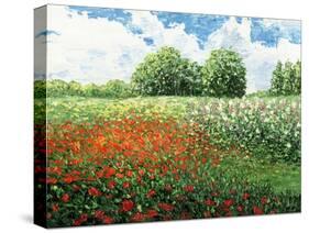 Impressionists Garden-Kevin Dodds-Stretched Canvas