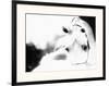 Impressions-Suzanne Sturgill-Framed Giclee Print