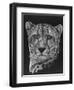 Impressive-Barbara Keith-Framed Giclee Print