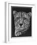 Impressive-Barbara Keith-Framed Premium Giclee Print