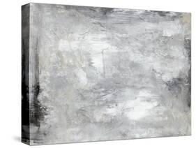 Imprinted Memory-Joshua Schicker-Stretched Canvas