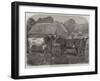 Improved Short-Horns, Purchased for the United States-Alfred Courbould-Framed Giclee Print