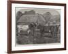 Improved Short-Horns, Purchased for the United States-Alfred Courbould-Framed Giclee Print