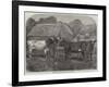 Improved Short-Horns, Purchased for the United States-Alfred Courbould-Framed Giclee Print