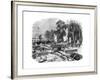 Improvements to the Serpentine-null-Framed Giclee Print