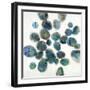 In a Blue Mood-Liz Jardine-Framed Art Print