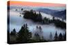 In A Dream of Fog Mount Tamalpais San Francisco-Vincent James-Stretched Canvas
