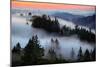 In A Dream of Fog Mount Tamalpais San Francisco-Vincent James-Mounted Photographic Print