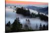 In A Dream of Fog Mount Tamalpais San Francisco-Vincent James-Stretched Canvas
