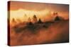 In A Dream On Mount Tamalpais, Marin County, San Francisco-Vincent James-Stretched Canvas