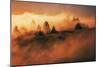 In A Dream On Mount Tamalpais, Marin County, San Francisco-Vincent James-Mounted Photographic Print