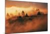 In A Dream On Mount Tamalpais, Marin County, San Francisco-Vincent James-Mounted Photographic Print