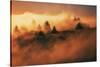 In A Dream On Mount Tamalpais, Marin County, San Francisco-Vincent James-Stretched Canvas