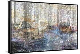 In A Dream-Jacob Berghoef-Framed Stretched Canvas