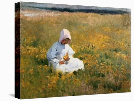 In a Field of Buttercups-Marianne Stokes-Stretched Canvas