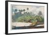 In a Florida Jungle (W/C over Graphite on Paper)-Winslow Homer-Framed Giclee Print