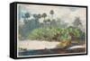 In a Florida Jungle (W/C over Graphite on Paper)-Winslow Homer-Framed Stretched Canvas