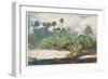 In a Florida Jungle (W/C over Graphite on Paper)-Winslow Homer-Framed Giclee Print