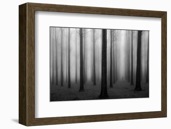 In a Fog-null-Framed Art Print