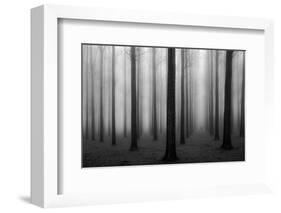In a Fog-null-Framed Art Print