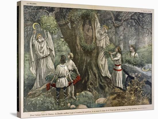 In a Forest Near Chartres France Druids Collect Mistletoe for Ritual Purposes-Eugene Damblans-Stretched Canvas