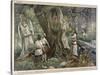 In a Forest Near Chartres France Druids Collect Mistletoe for Ritual Purposes-Eugene Damblans-Stretched Canvas