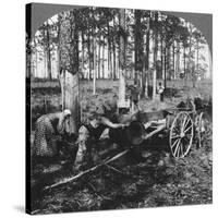 In a Great Pine Forest, Collecting Turpentine, North Carolina, USA, Late 19th or Early 20th Century-null-Stretched Canvas