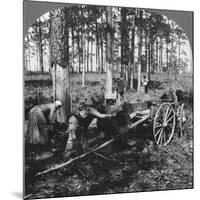 In a Great Pine Forest, Collecting Turpentine, North Carolina, USA, Late 19th or Early 20th Century-null-Mounted Giclee Print