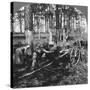 In a Great Pine Forest, Collecting Turpentine, North Carolina, USA, Late 19th or Early 20th Century-null-Stretched Canvas