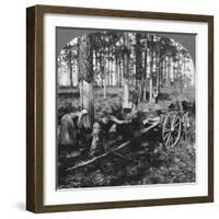 In a Great Pine Forest, Collecting Turpentine, North Carolina, USA, Late 19th or Early 20th Century-null-Framed Giclee Print