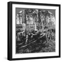 In a Great Pine Forest, Collecting Turpentine, North Carolina, USA, Late 19th or Early 20th Century-null-Framed Giclee Print