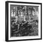 In a Great Pine Forest, Collecting Turpentine, North Carolina, USA, Late 19th or Early 20th Century-null-Framed Giclee Print