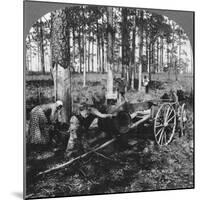 In a Great Pine Forest, Collecting Turpentine, North Carolina, USA, Late 19th or Early 20th Century-null-Mounted Giclee Print