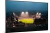 In a night game and a light rain mist, the Florida Marlins beat the 2006 World Series Champion b...-null-Mounted Photographic Print