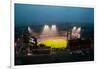 In a night game and a light rain mist, the Florida Marlins beat the 2006 World Series Champion b...-null-Framed Photographic Print