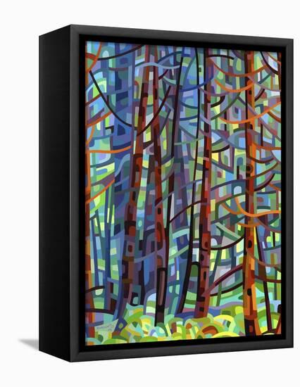 In a Pine Forest-Mandy Budan-Framed Stretched Canvas