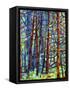 In a Pine Forest-Mandy Budan-Framed Stretched Canvas