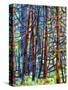 In a Pine Forest-Mandy Budan-Stretched Canvas