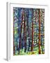 In a Pine Forest-Mandy Budan-Framed Giclee Print