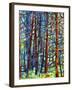 In a Pine Forest-Mandy Budan-Framed Giclee Print