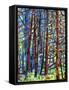 In a Pine Forest-Mandy Budan-Framed Stretched Canvas